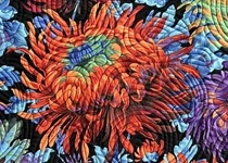 'Mums'