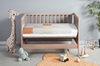 Autumn Ducks in a Crib