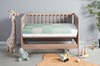 Lucky Ducks in a Crib