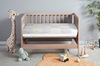 Winter Ducks in a Crib