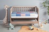 Yankee Doodle Ducks in a Crib
